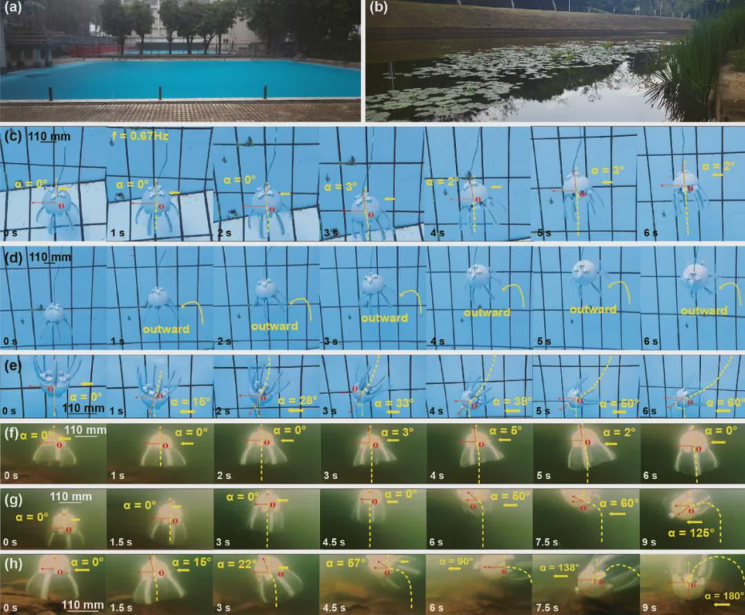 IJRR发表！仿生机器人新突破，中国团队研发出一款轻量化“仿生水母机器人”，仅重287克(图8)